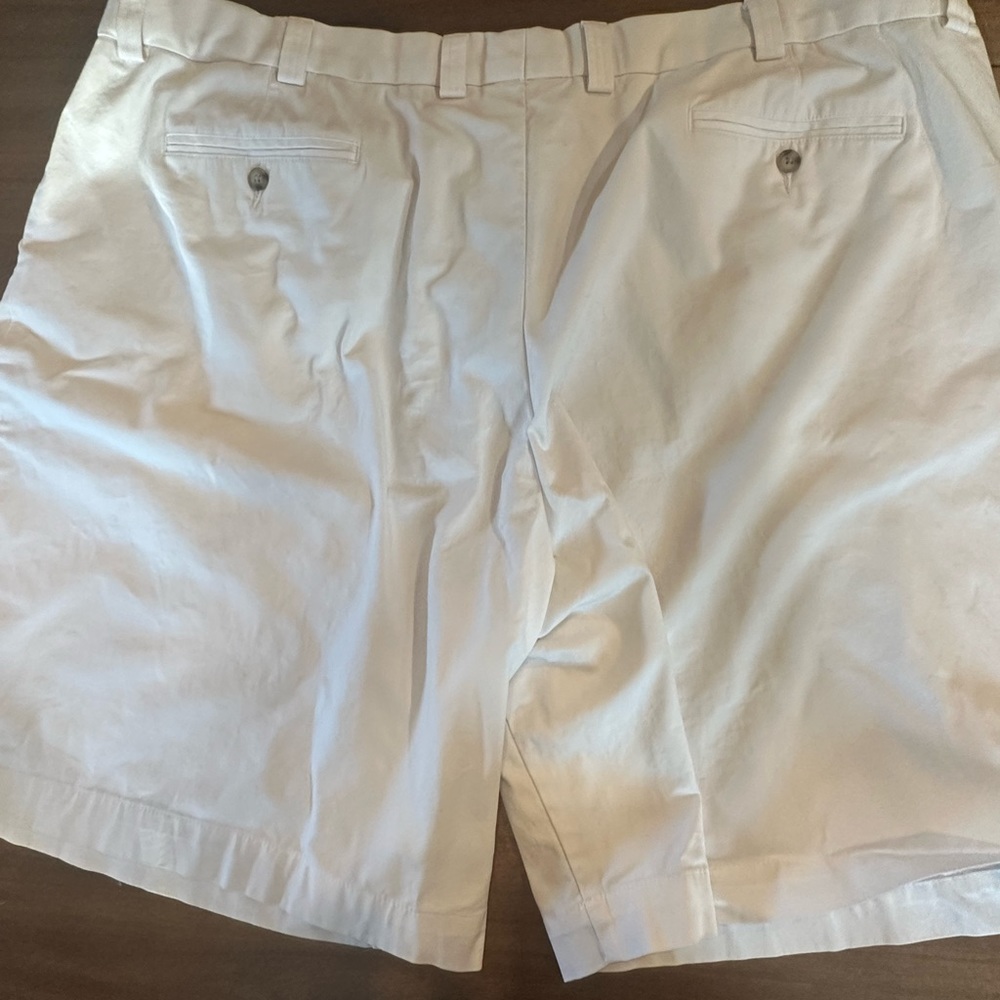 Oak Hill Big & Tall dress shorts